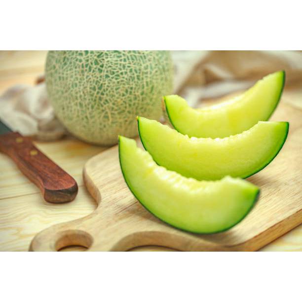 BIBIT MELON MADU HIJAU MANIS HARGA TERBAIK