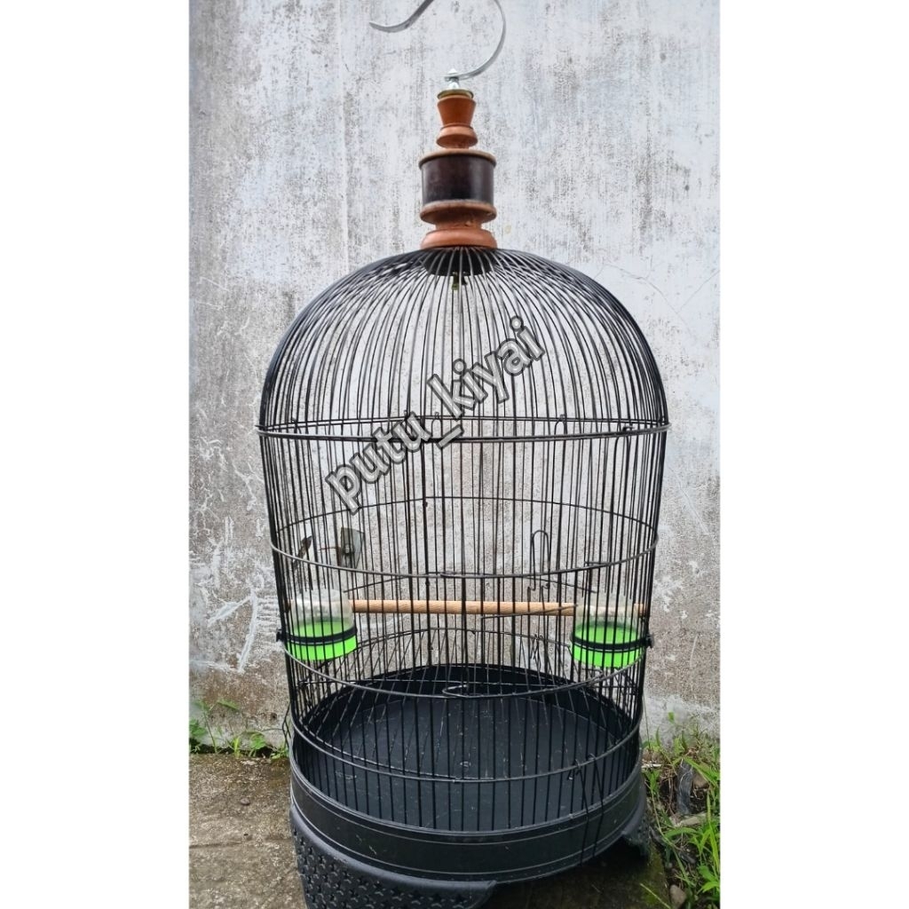 sangkar perkutut besi jumbo