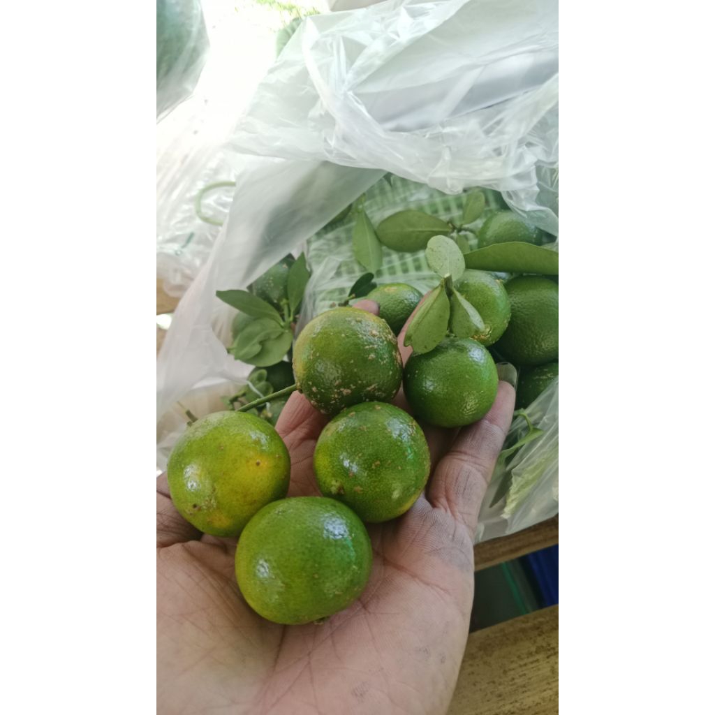 Jeruk kasturi 1kg