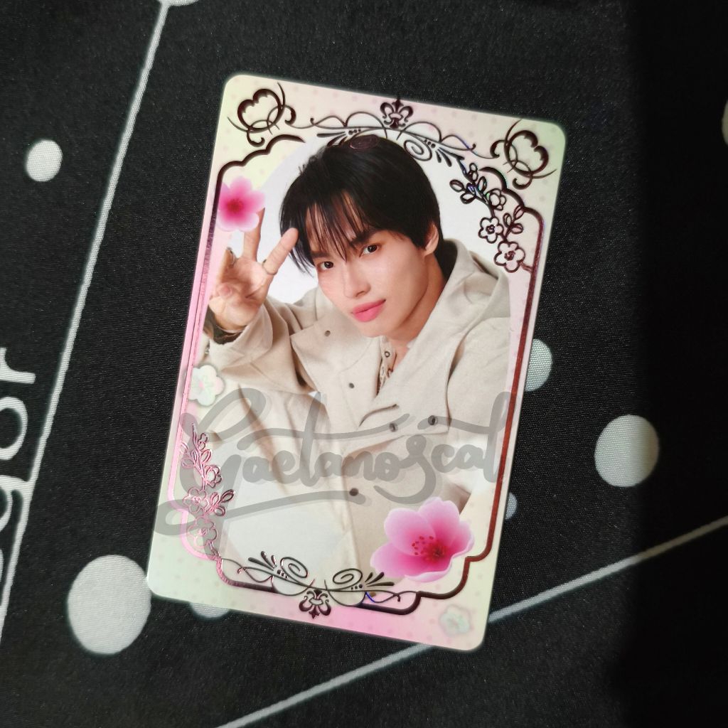 SECRET PC BLOSSOM JAPAN WIN METAWIN / SECRET BLOSSOM WIN GMMTV