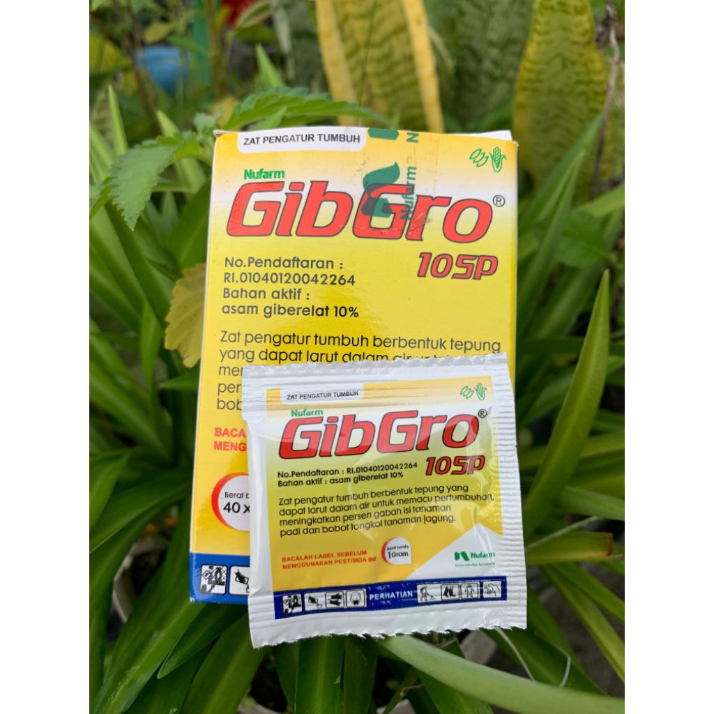 Zpt GIBRO 10SP 1 GRAM MASA VEGETATIF