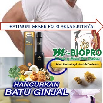 OBAT BATU GINJAL PALING AMPUH TANPA OPERASI II OBAT BATU GINJAL PADA PRIA II OBAT BATU GINJAL PALING