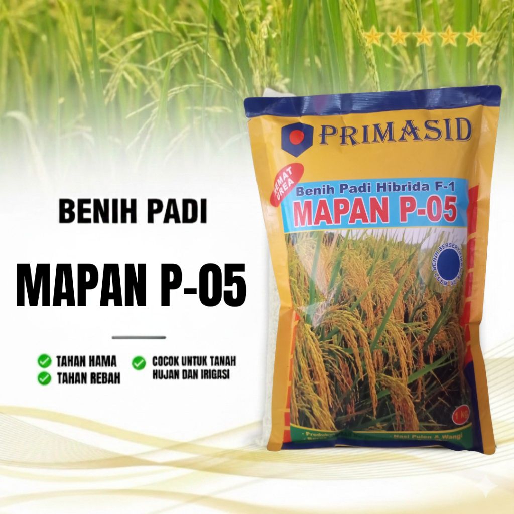 BIBIT PADI UNGGUL MAPAN P 05 KEMASAN 5 KG