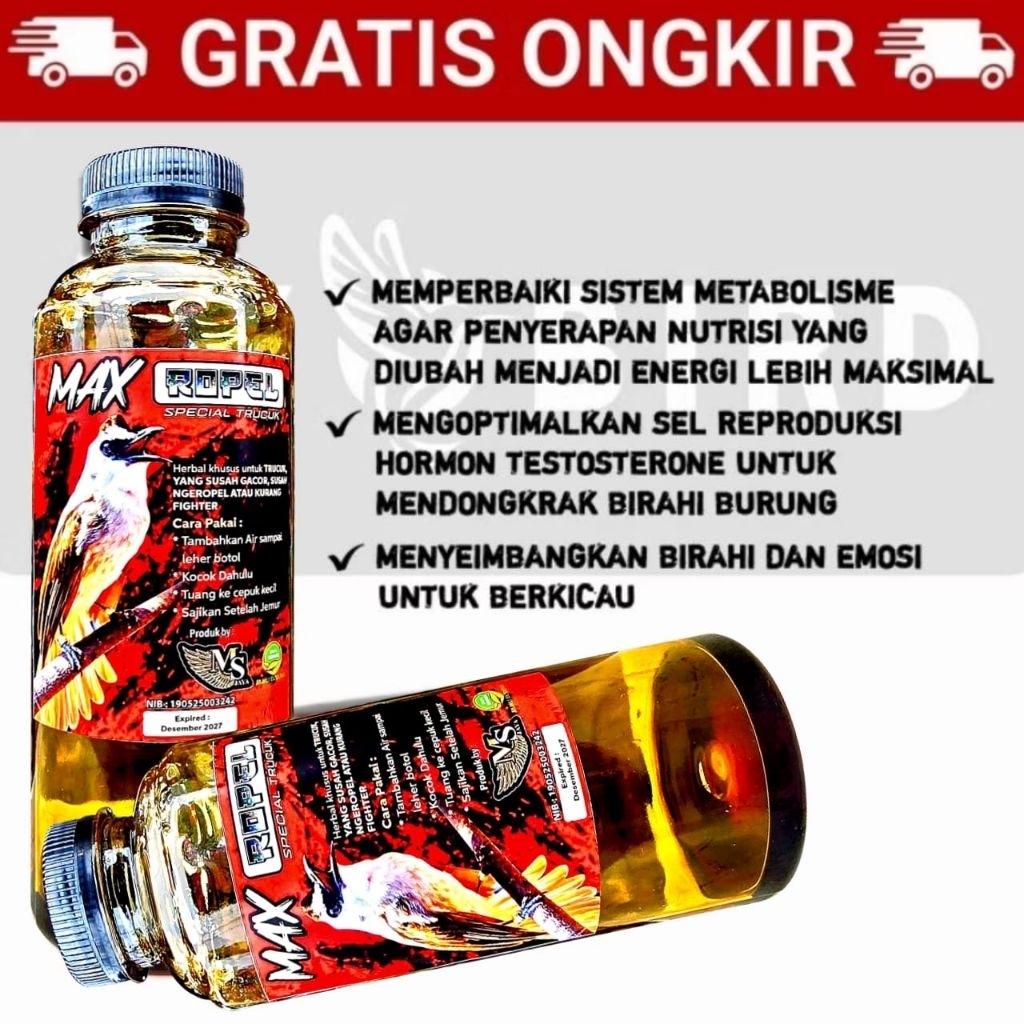 vitamin Trucukan jenggot kapas tembak cucak ijo Ropel cepat gacor