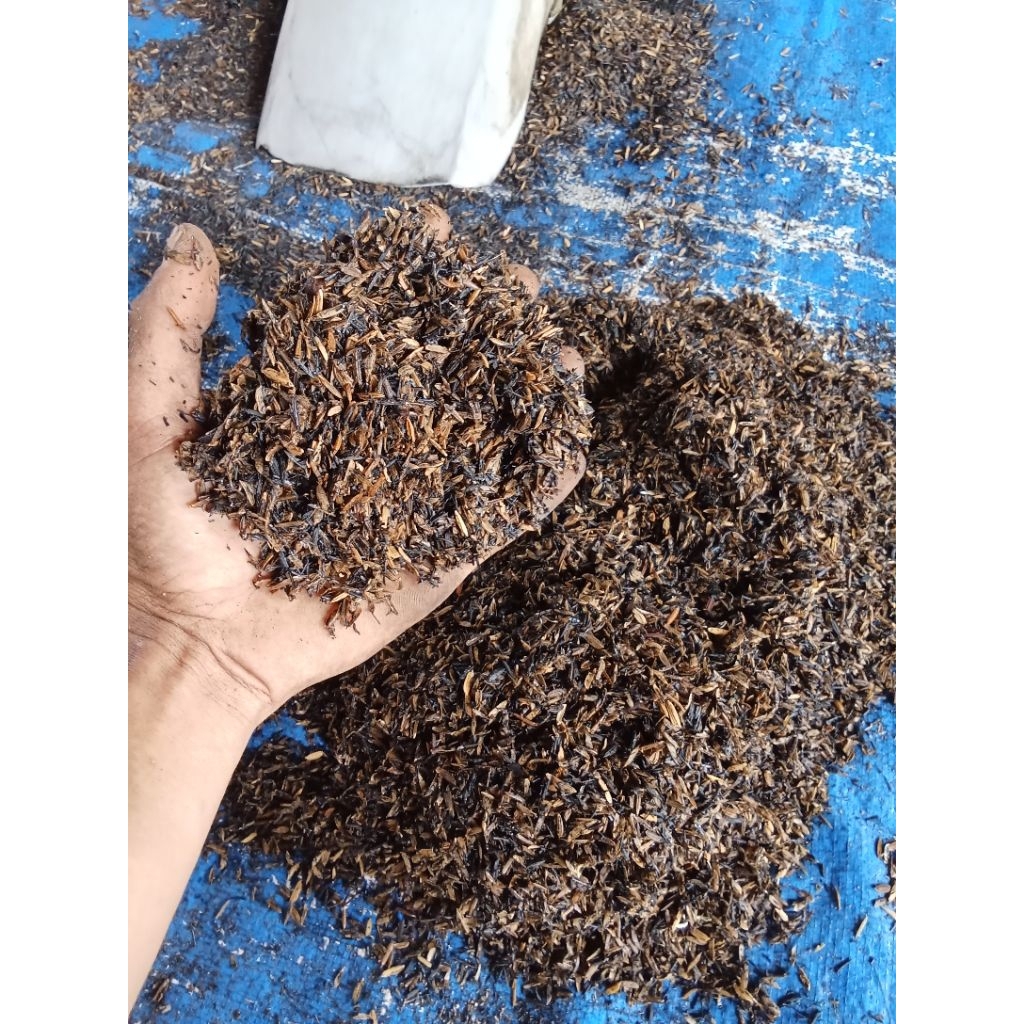 sekam lapuk campur sekam bakar karung beras 10kg