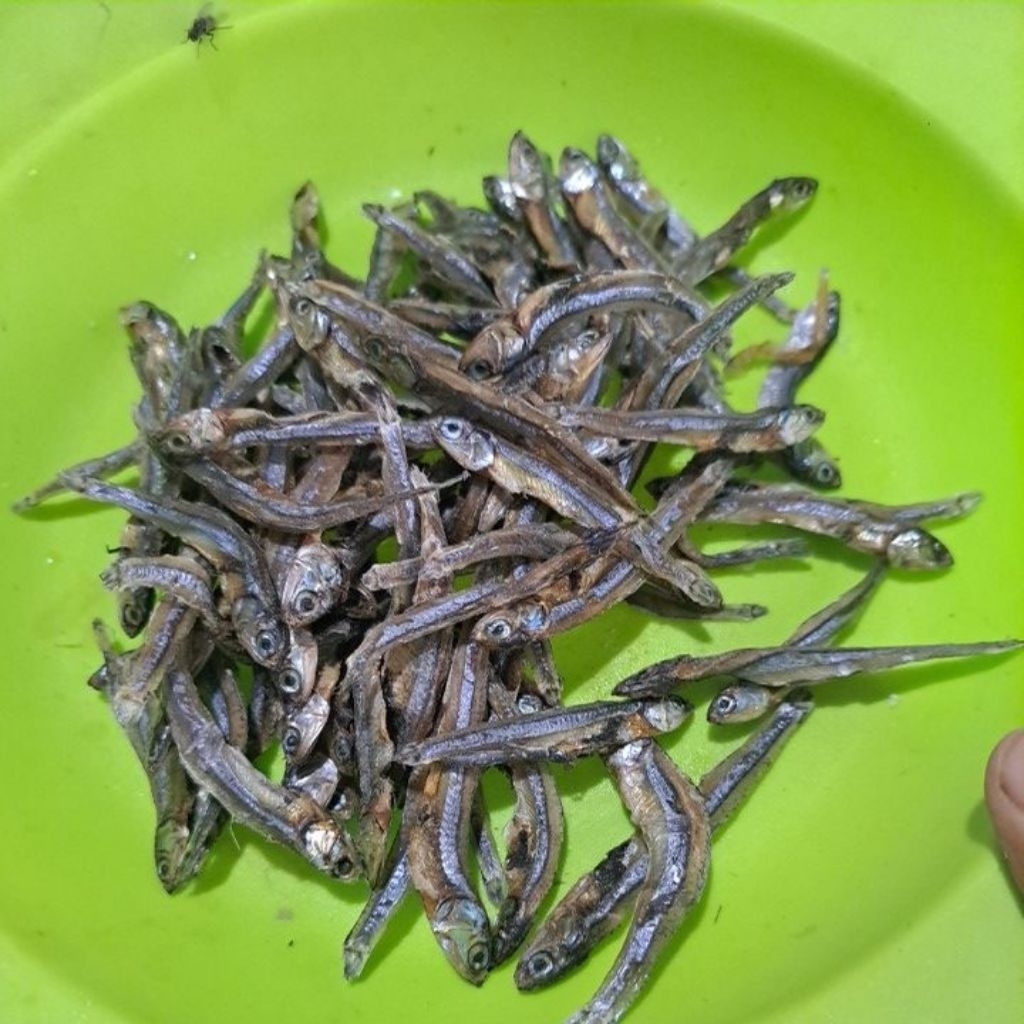 Ikan teri tawar gurih tanpa garam 500gr