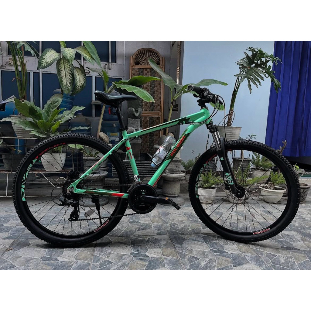 POLYGON CASCADE 4 2021