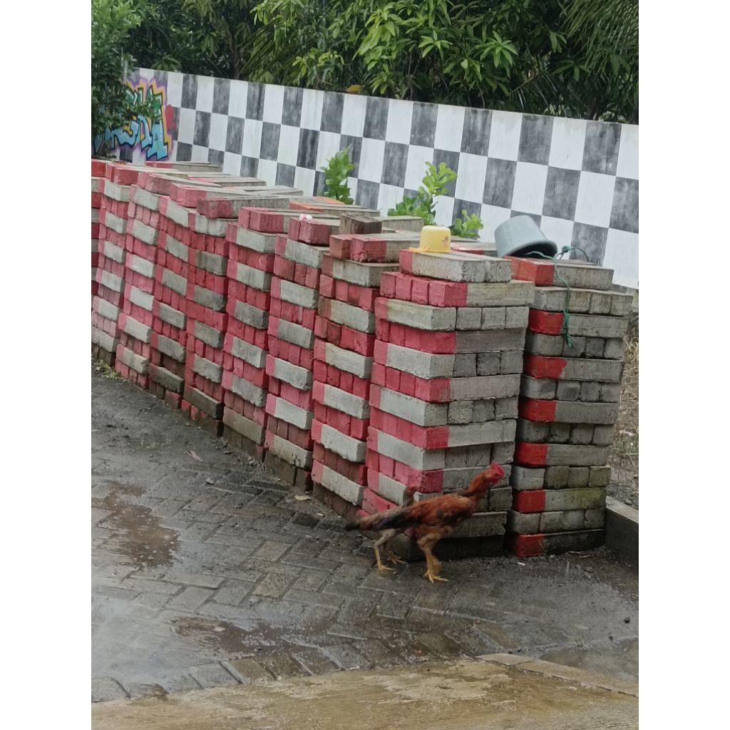 pathok batas tanah logo BPN