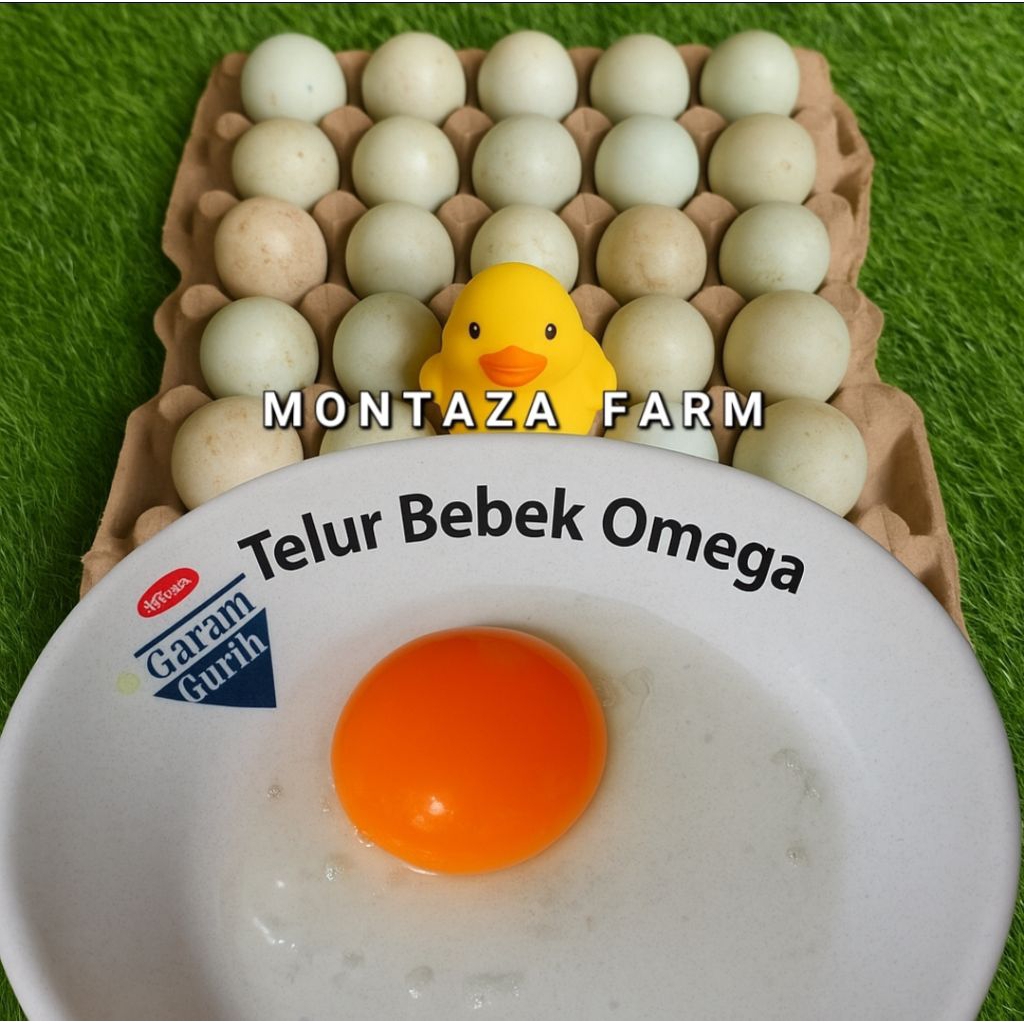Telur Bebek OMEGA mentah fresh telor montaza farm Bandung Warna Orange