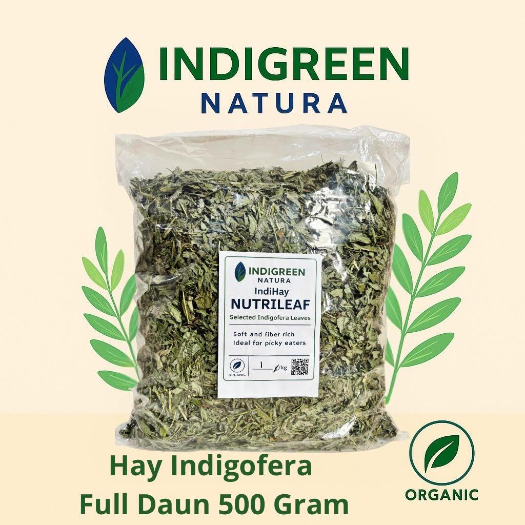 Hay Indigofera Full Daun Kering Murni Daun Pakan Ternak Pakan Hewan Pakan Kelinci Kambing Sapi Domba