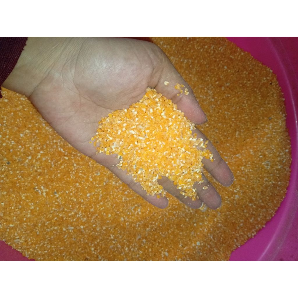 beras jagung/jagung giling