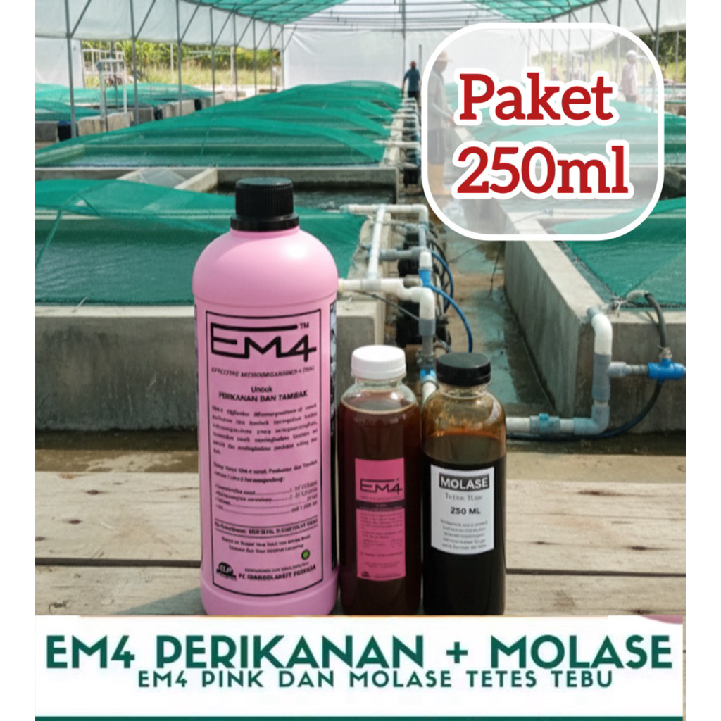 Em4 Perikanan 250ml + Molase 250ml. Em4 pink + molase. Em4 ikan + molase