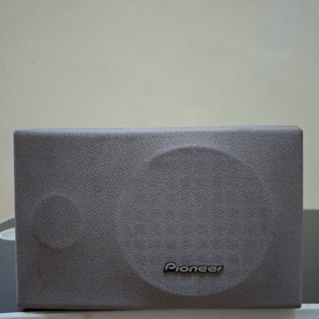 Speaker Pioneer