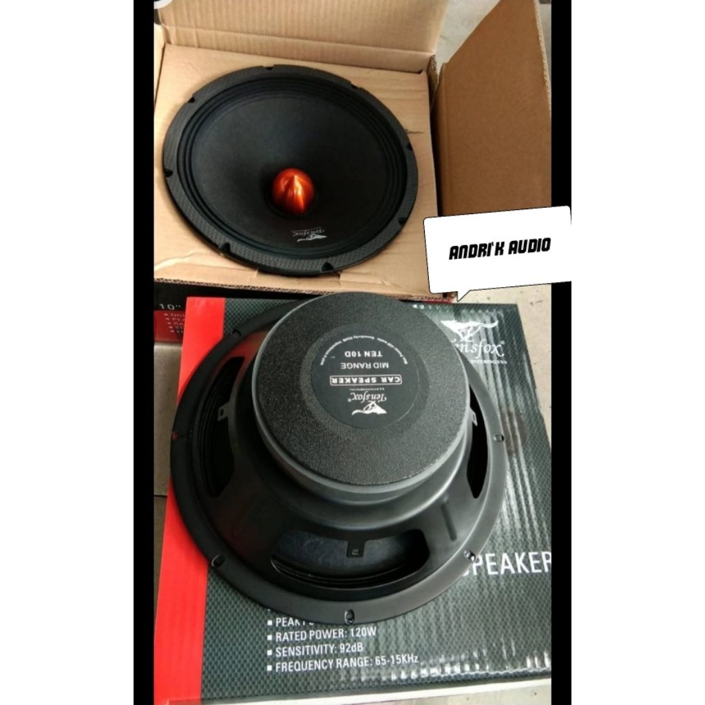speaker midrange tensfox 10inch