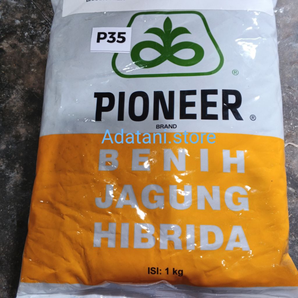 1KG | benih jagung Pioneer hibrida P35 1Kg
