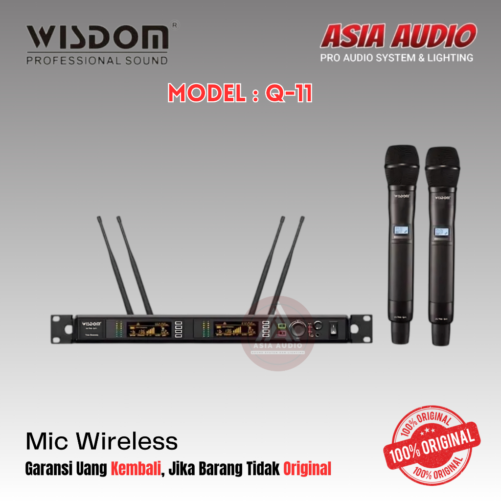 MIC WIRELESS WISDOM Q-11