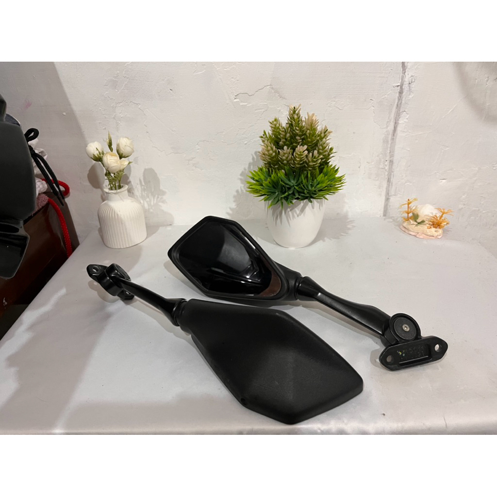 Spion ninja Rr 250 mono, original