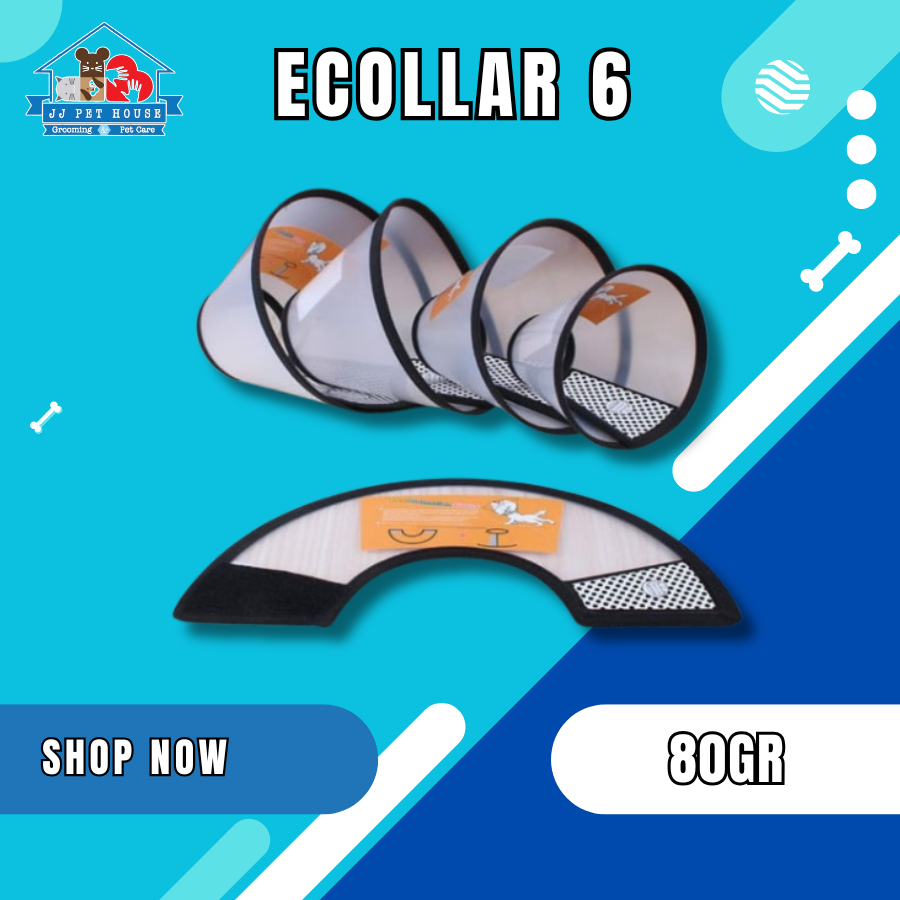 ECOLLAR 6 - MAINAN LEHER KUCING / ANJING