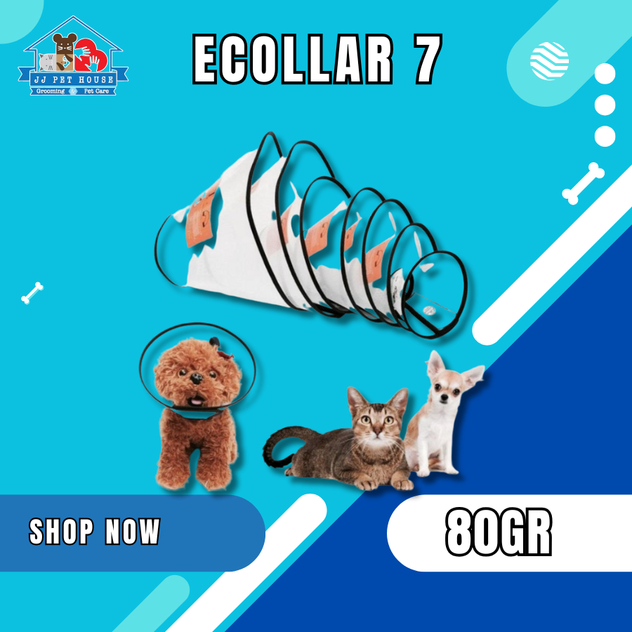 ECOLLAR 7 - MAINAN LEHER KUCING / ANJING
