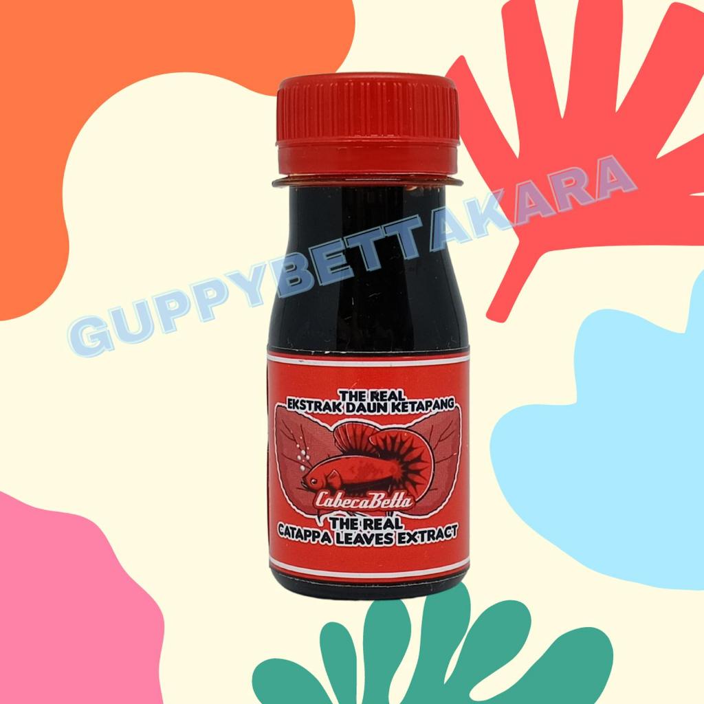 Ekstrak Daun Ketapang / The Real Ekstrak Ketapang