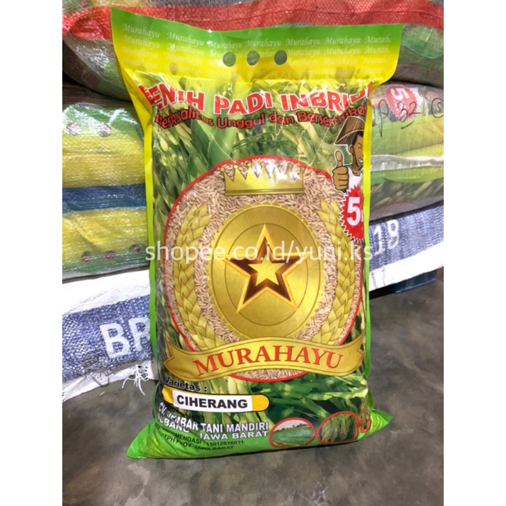 Benih Padi Premium Murahayu Ciherang