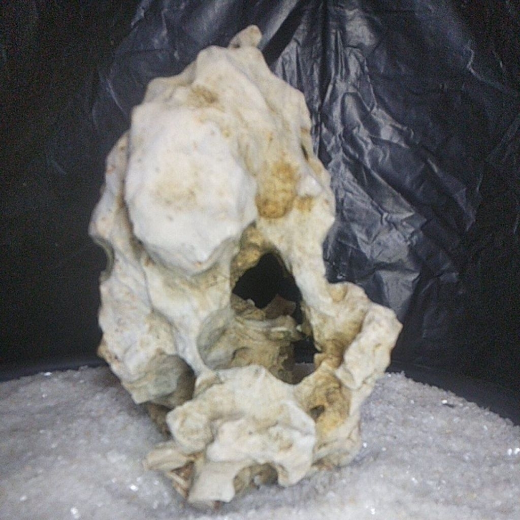 BATU KARANG GUNUNG UNTUK BONSAI DAN AQUASCAPE