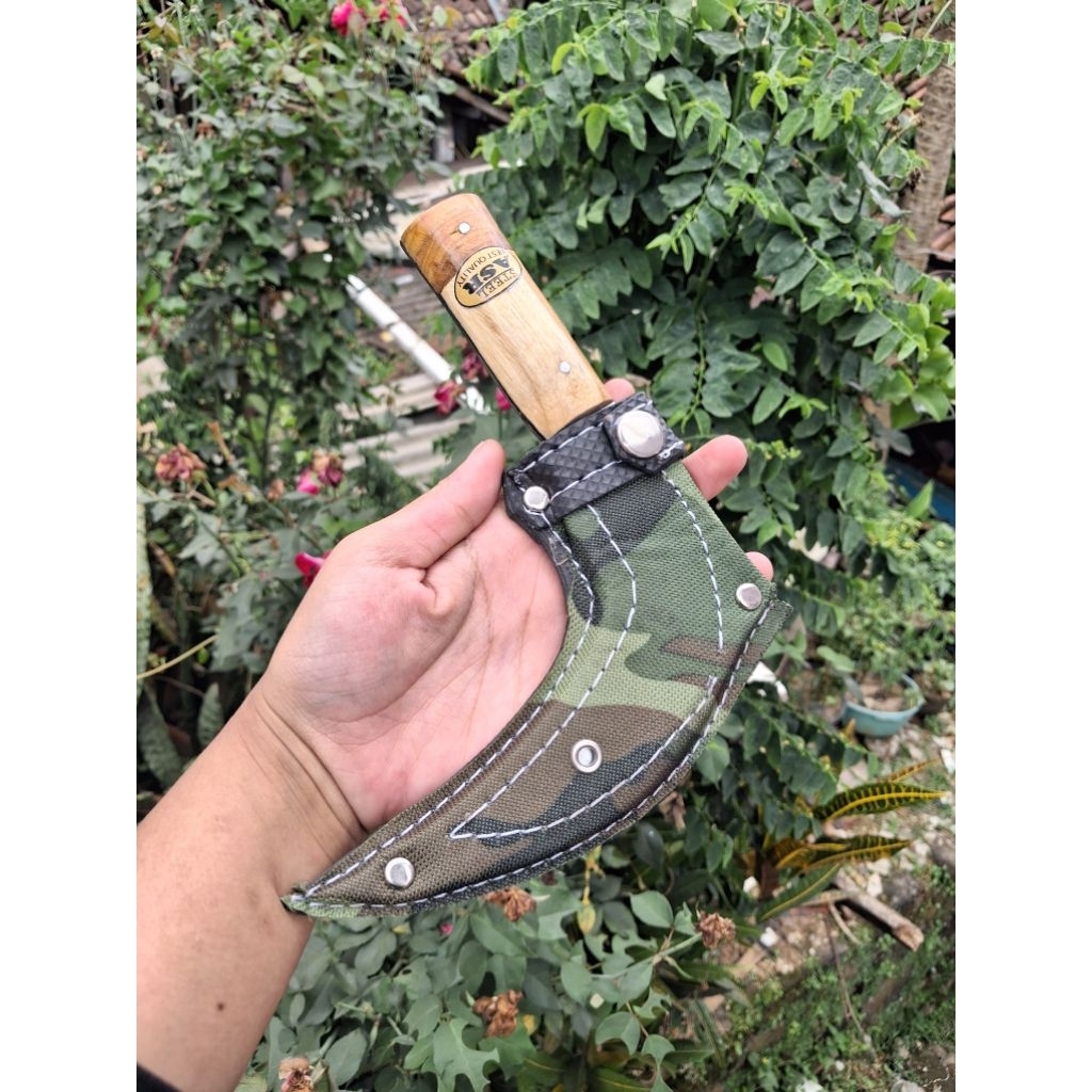 PISAU KUKU MACAN ATAU PISAU PISANG