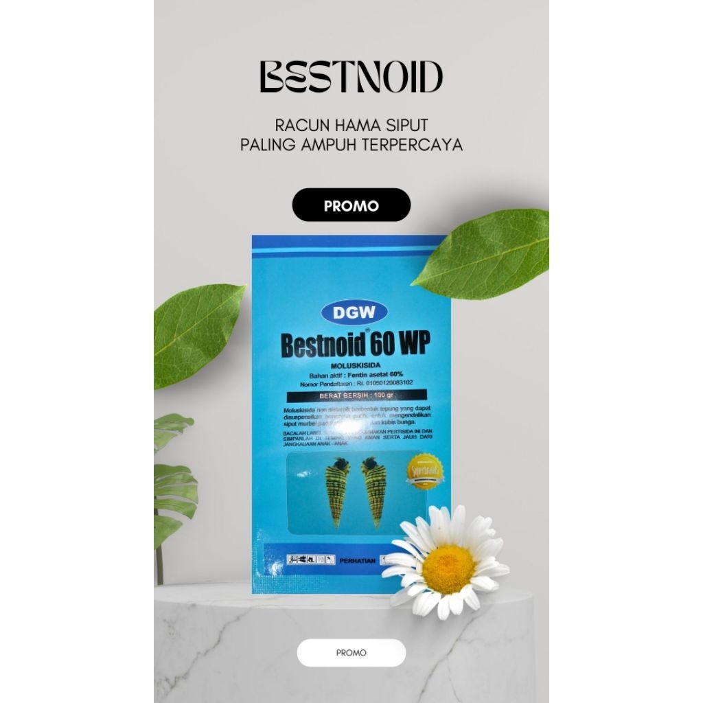 Bestnoid 100 gram NPWP racun keong