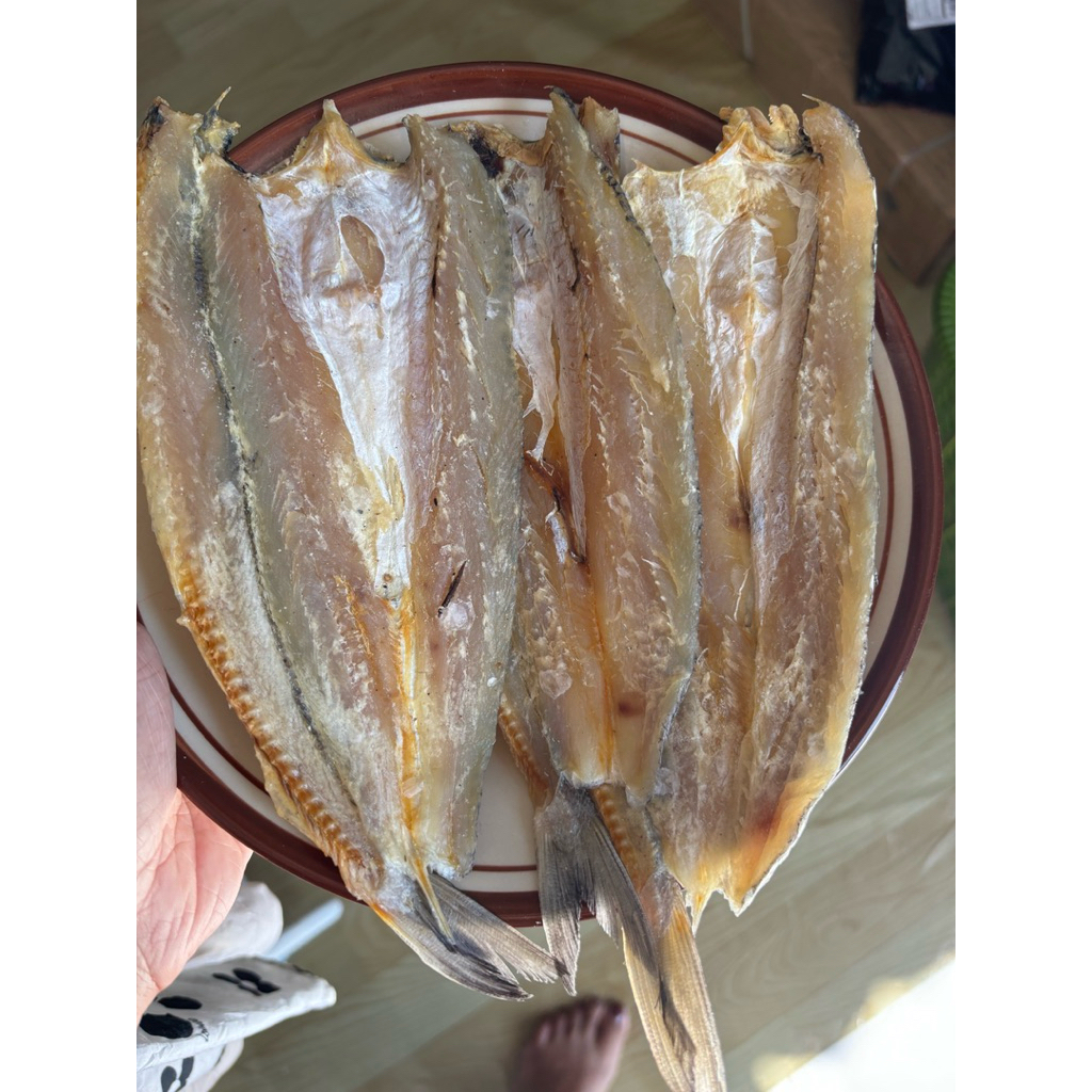 Ikan gabus pasir ikan kering ikan gabus