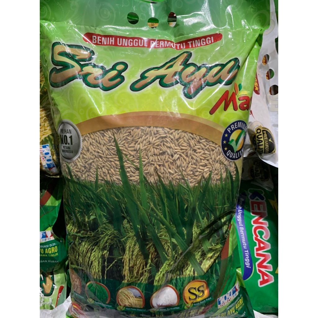 Benih padi inpari SRI AYU 32 kemasan 5kg