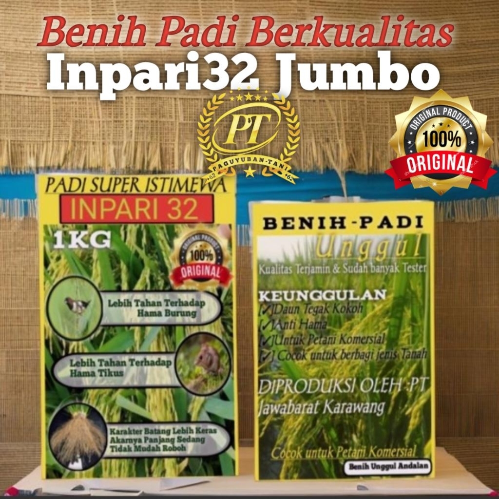 BIBIT PADI  BENIH PADI  UNGGUL BERKUALITAS INPARI 32 JUMBO KEMASAN 1KG