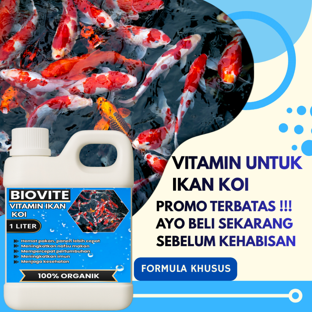VITAMIN Ikan koi probiotik agar cepat besar, pemacu pertumbuhan ikan koi