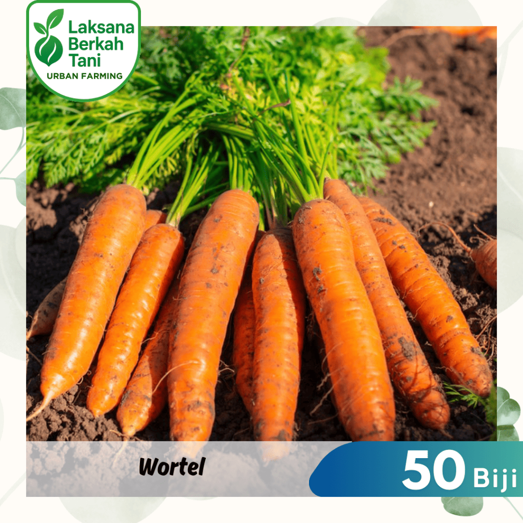 50 Butir Benih Wortel Buah Bibit Sayuran Tanaman