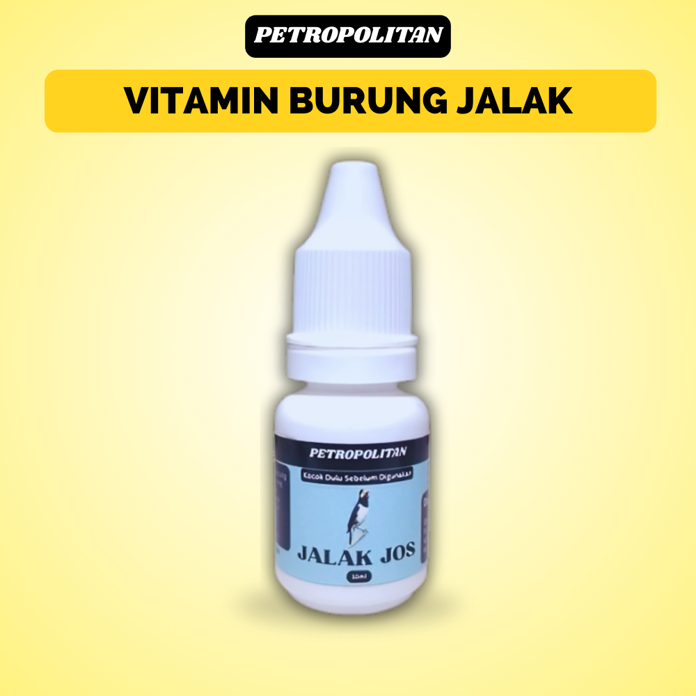 Vitamin Jalak Jos Petropolitan Untuk Burung Jalak Suren Jalak Kebo Biar Gacor