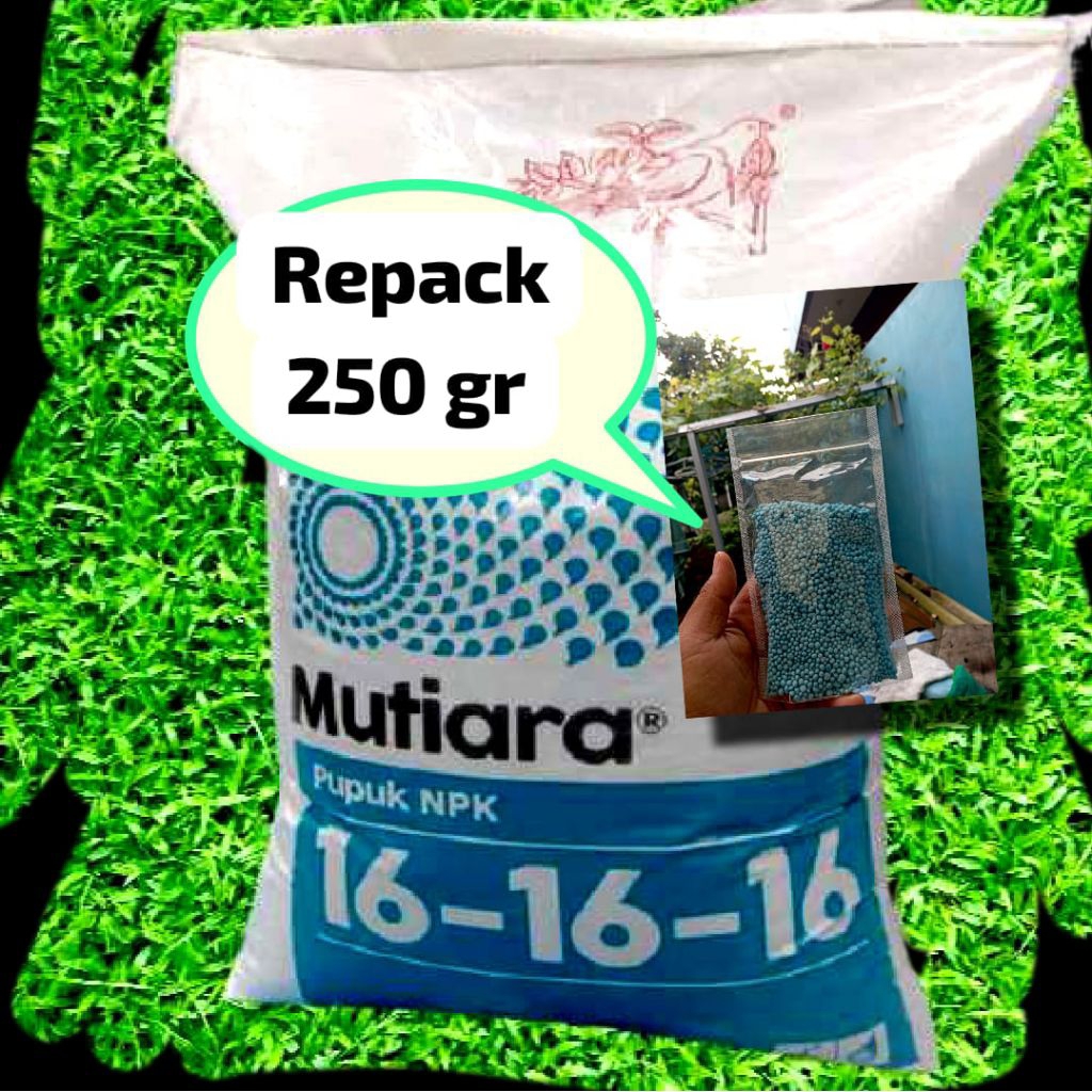 Pupuk NPK 161616
