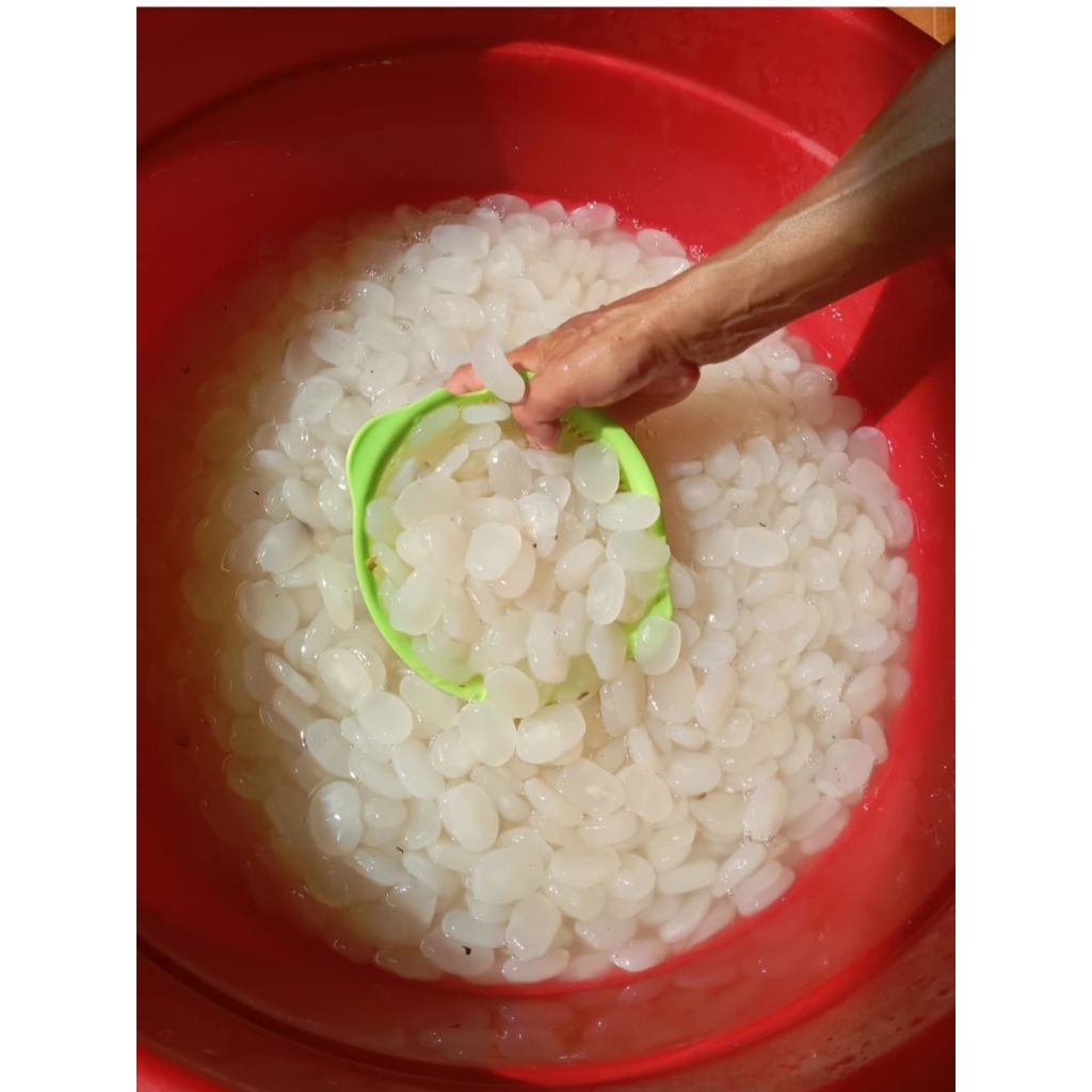 kolang kaling super 1kg kolang kaling buah manisan kolang kaling