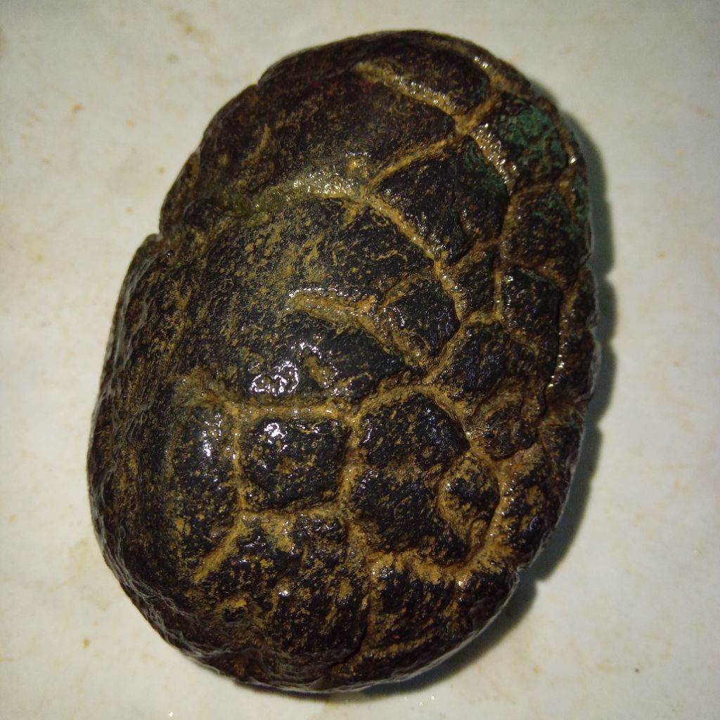 Original Batu Satam Meteorite Big Size / Ukuran Jumbo