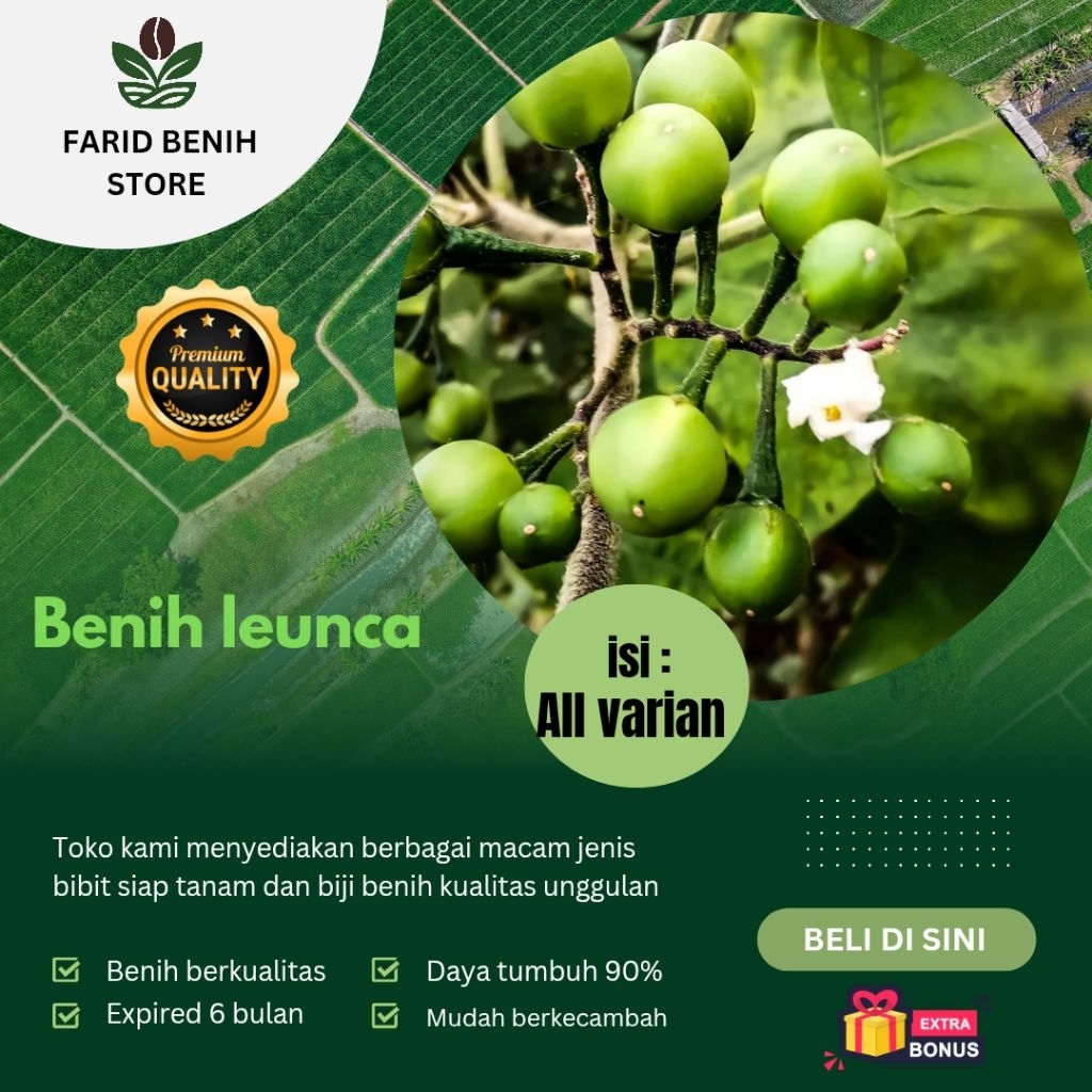 Paket hemat> biji benih leunca/leunca lalap kualitas unggul