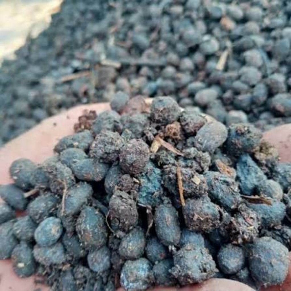 kohe kambing SrintiL kering 4 kg untuk alas kandang maupun lainya