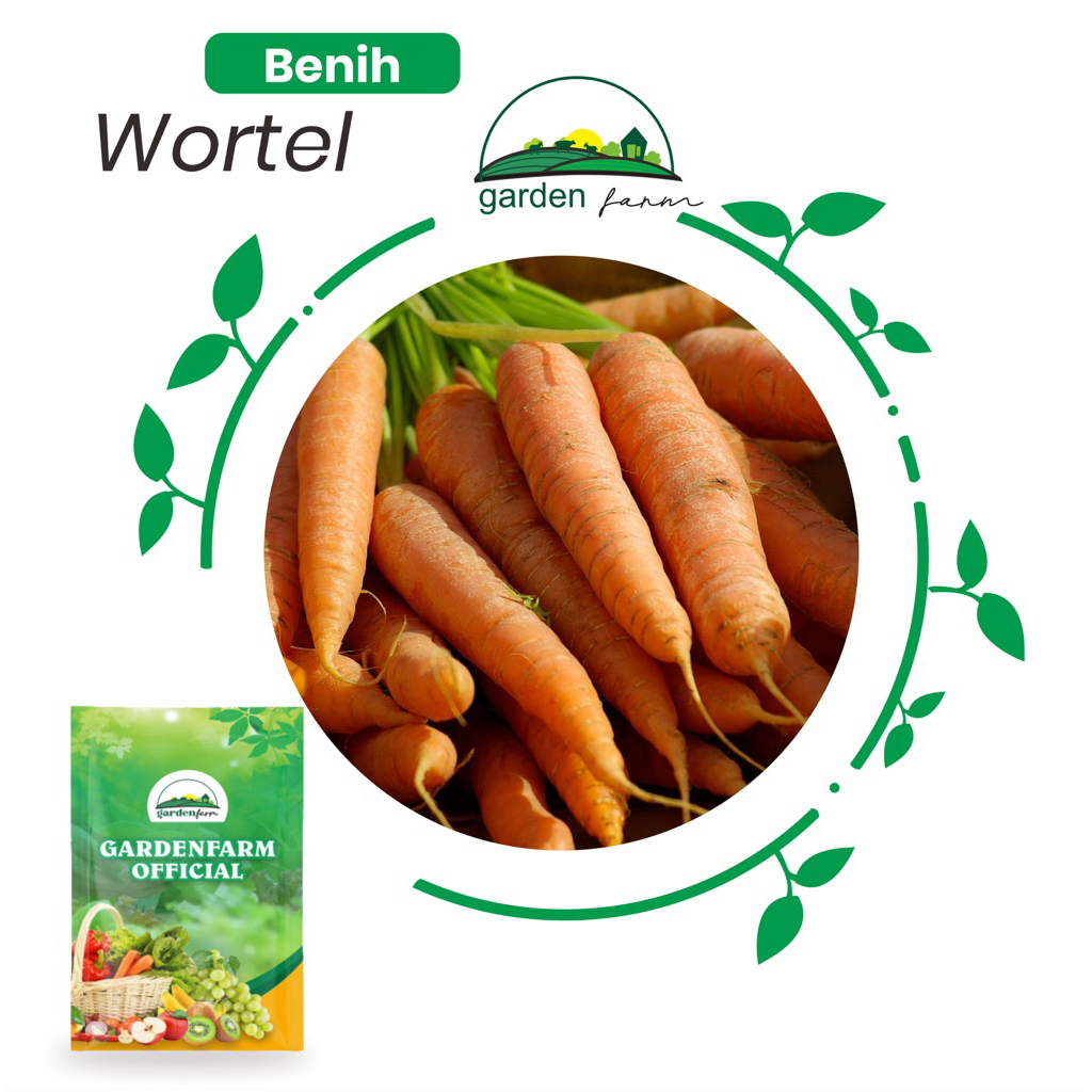 GARDENFARM - BENIH/BIBIT SAYUR WORTEL/BUAH WORTEL BERKUALITAS TINGGI DENGAN HARGA YANG SANGAT TERJAN