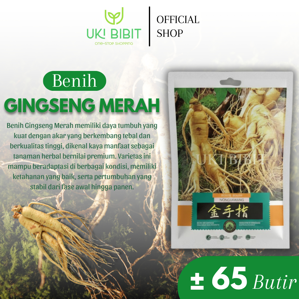 Kemasan Original | Benih Biji Ginseng Merah | Gingseng Merah