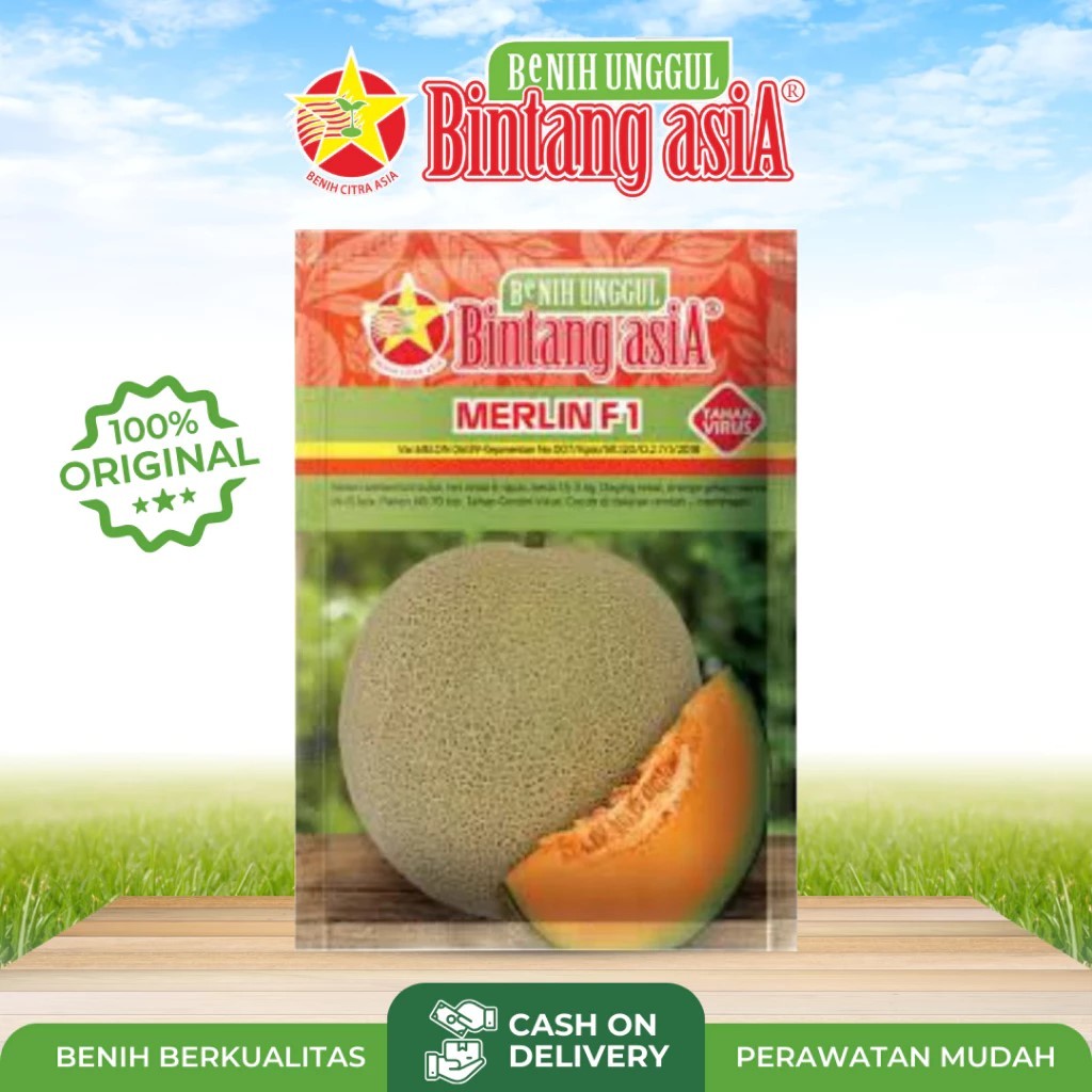 My Love 20gr Benih Melon Golden Bintang Asia Eksis