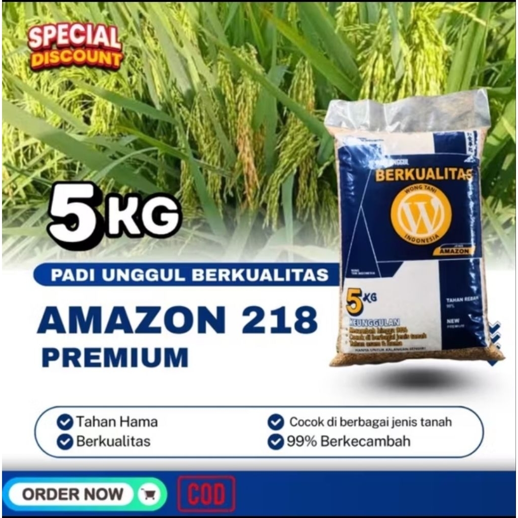 Gabah kering AMAZON 218 PREMIUM
