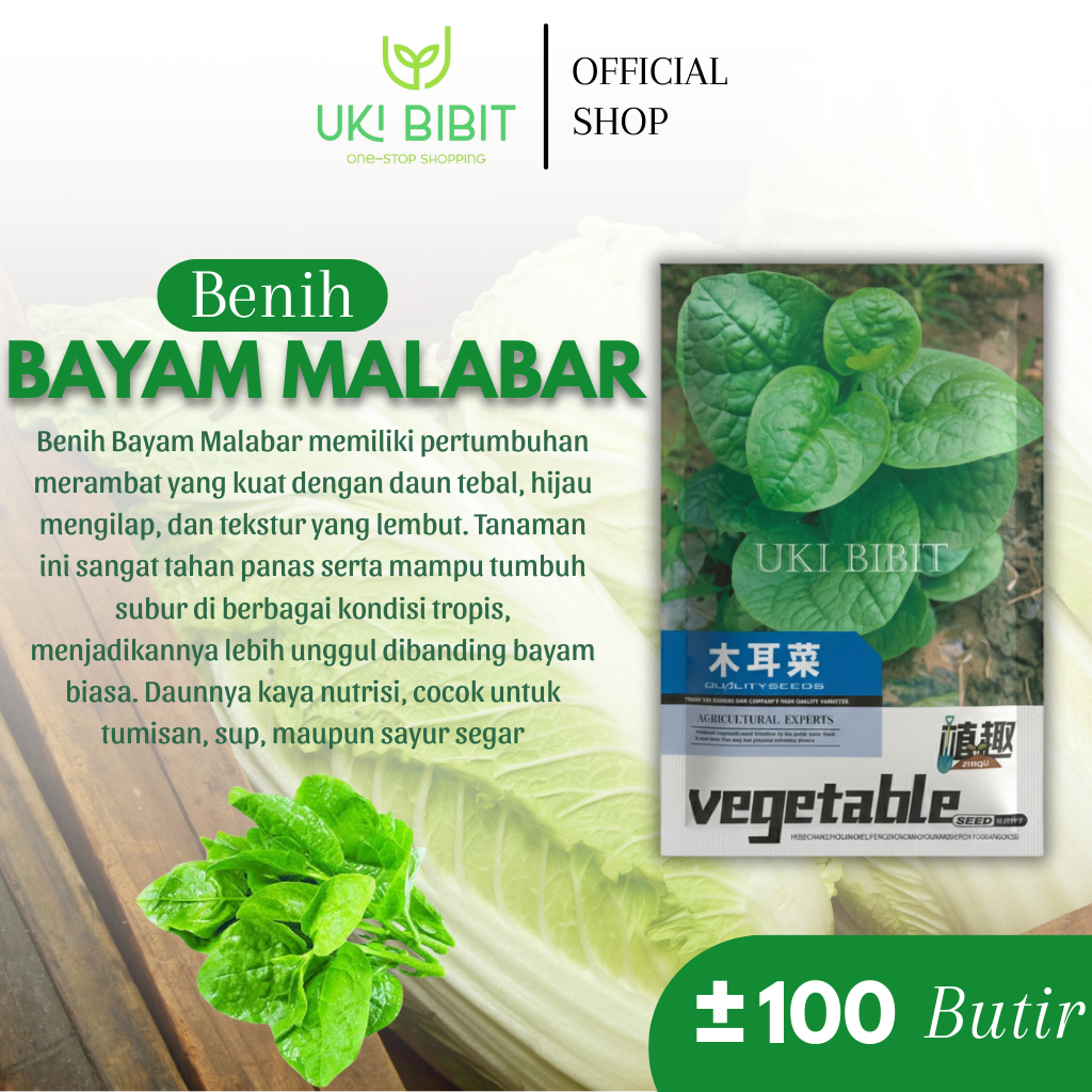 Kemasan Original | Benih Biji Bayam Malabar | Bayam Raksasa
