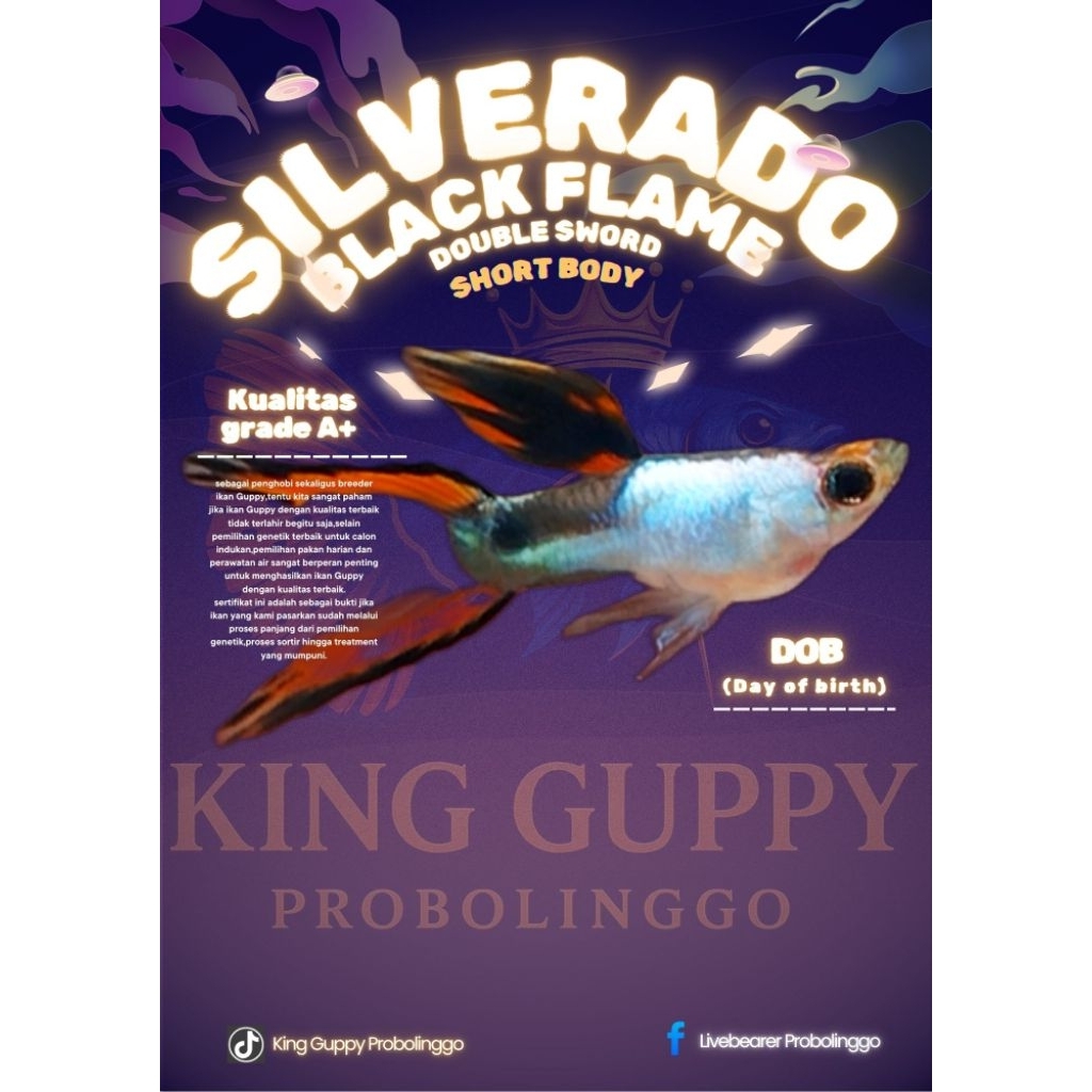 Stiker endler Silverado double sword SB kualitas