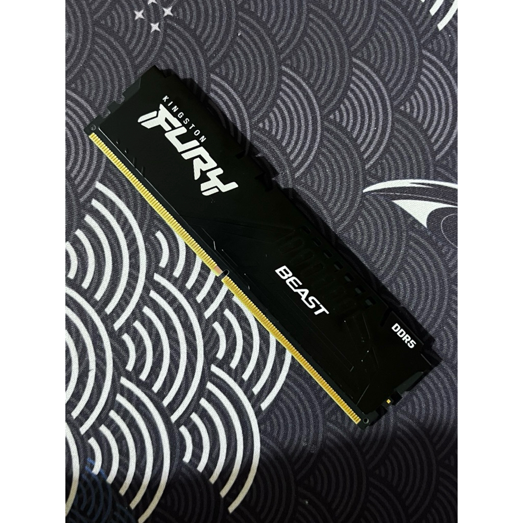 Kingston Fury Beast 32GB DDR5 5600MHz Longdimm (1 x 32GB)