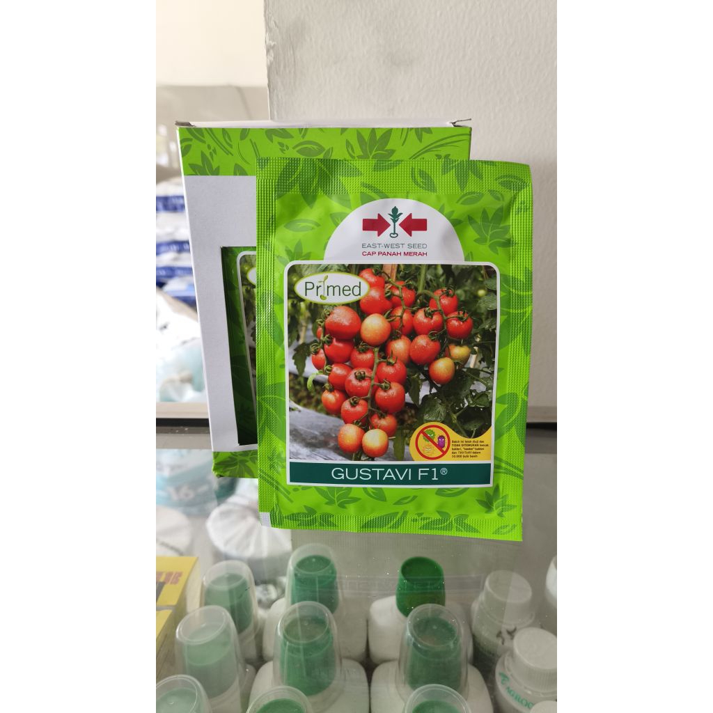 Benih Tomat Gustavi F1