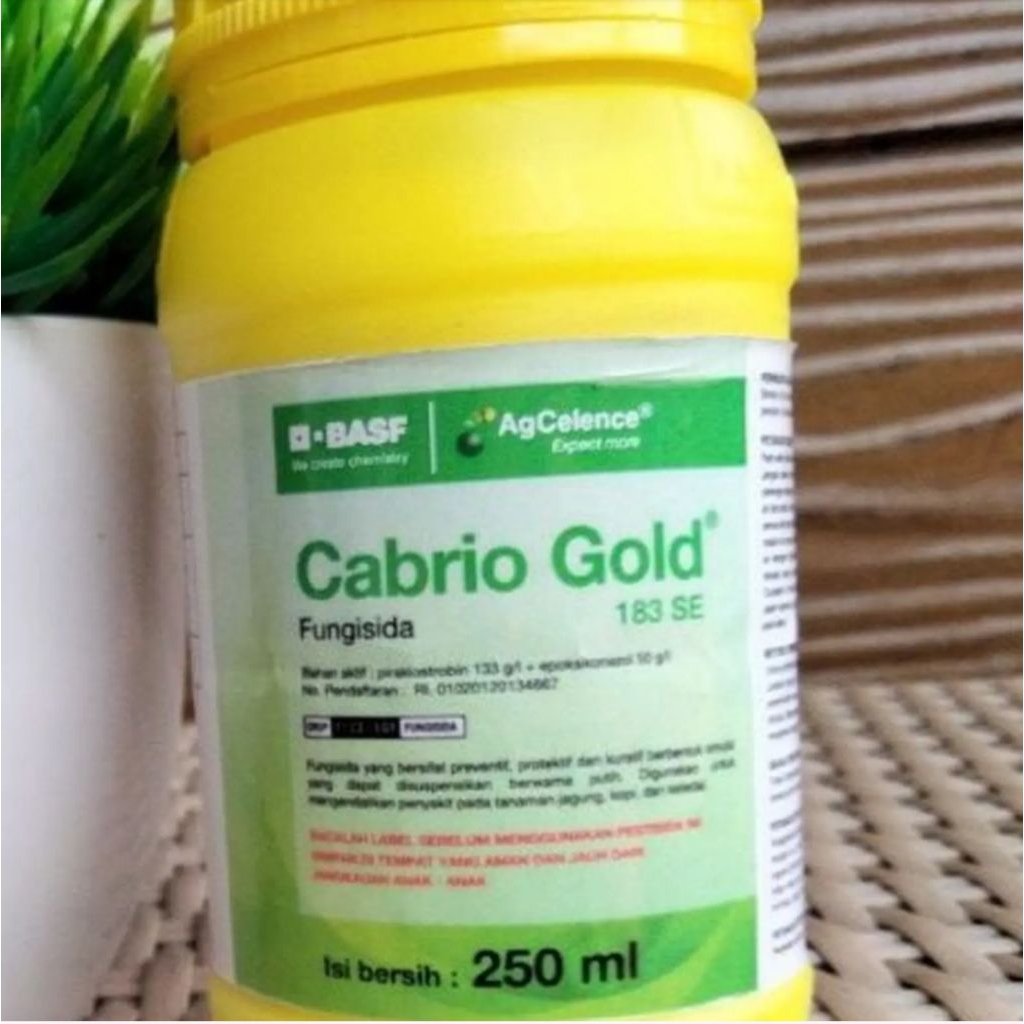 CABRIO GOLD 250ml