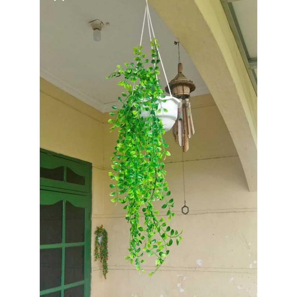 1 Bunga kemuning dan 1 pot gantung plastik hiasan dekorasi rumah