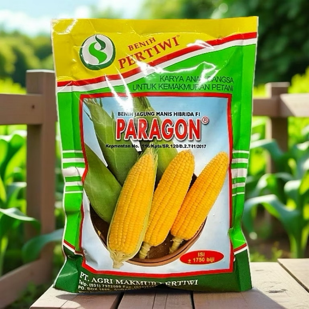 bibit jagung paragon